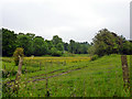 Meadow, valley of River Len