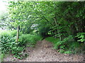 Footpath to Upton