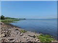 Foreshore at the mouth of the Bunchrew Burn