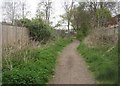 Path behind Shelley Rise