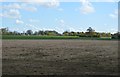 Farmland north of Biddenham