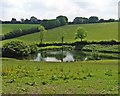 Lake at Surridge Farm