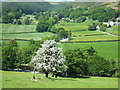 Afon Dyfrdwy on an early summer