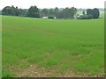 SU4334 : Morns Field farmland, near Crawley by Christine Johnstone