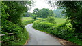 Lane in the Vale of Grwyney