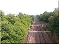 Railway cutting east of Pontefract Lane, Leeds