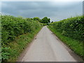 Along the lane south of Hilbrae