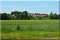 Farmland by the church car park