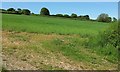 Field near Venn