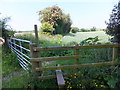 Stile from the Bridleway