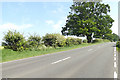 TL8685 : A134 Mundford Road, Thetford by Geographer