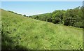 Hillside near South Huish