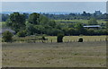 Farmland near the Buckinghamshire village of Rowsham