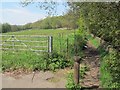 Bollard at the start of a footpath