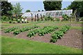 Kitchen garden, Wightwick Manor