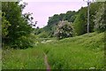 Footpath, Bagley Beck, Leeds