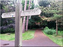 SZ0791 : Bournemouth: towards footpath B02 in the Gardens by Chris Downer