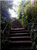 SZ0791 : Westbourne: steps on footpath A12 by Chris Downer