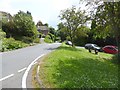 Edington village green