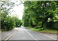 Dean Lane, between Bisham and Cookham Dean