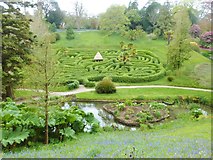 SW7727 : The Maze at Glendurgan Gardens, Cornwall by Derek Voller