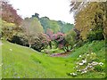 SW7727 : Colourful scene at Glendurgan Gardens, Cornwall by Derek Voller