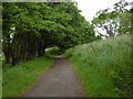 The Royal Military Canal Path near Hythe