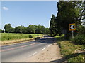 TM0948 : Somersham Road, Somersham by Geographer