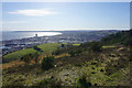 Scrub on Kilvey Hill