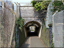 TQ2281 : Central Line bridge over footpath by Robin Webster