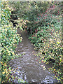 SP3780 : River Sowe after rain, near Clifford Bridge Road, Walsgrave, Coventry by Robin Stott