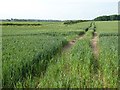 Arable land near Shackerley