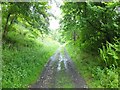 Footpath on the Rob Roy Way