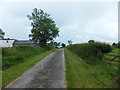 The track leading to Cae Adar Farm