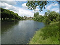 The lake in Goodmayes Park