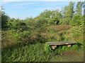 TL2063 : Scrub and bench, Paxton Pits by Hugh Venables