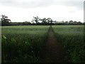 Footpath to Old Park Farm