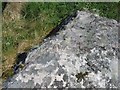 Rivet on rock near Gleann, Barra