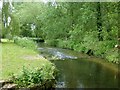 The River Meden in Meden Vale