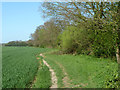 Footpath heading north