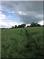 Footpath to Smeeton Westerby