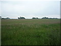 Farmland off Sandle Bridge Lane