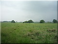 Farmland off Pedley Lane