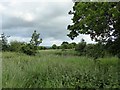 Hanford: pond on Primrose Hill