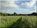 Hanford: path on Primrose Hill