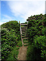 A ladder stile on the Wales Coastal Path