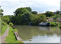 Narrowboats moored along the Grand Union Canal