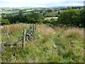 Footpath from Shaw