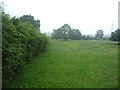 Grazing and hedgerow, Paddockhill