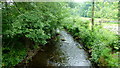 The Grwyne Fawr at Pen-y-bont